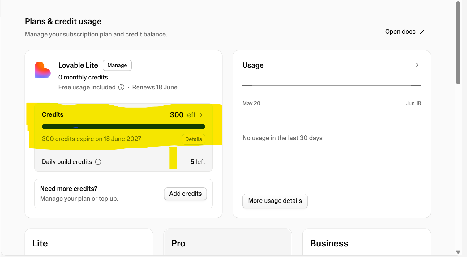 Lovable dashboard showing 300 credits delivered